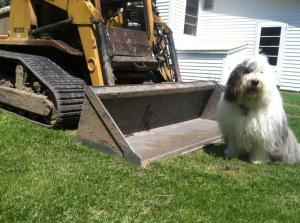 2014 05 22 Benson and the Backhoe 1