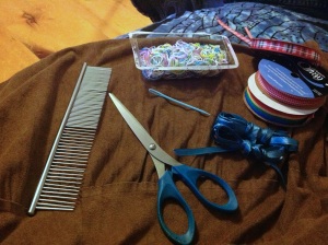 First, gather your supplies: a comb, scissors, small elastic bands (available at most drug stores), ribbon, and a plastic darning needle