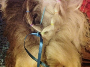Put the darning needle through on one side of that very first ponytail.  Make sure it is a nice, blunt darning needle - you don't want to accidentally poke your furbaby!  (If you're doggie friend is squirmy, you can do this with just your fingers, too.)