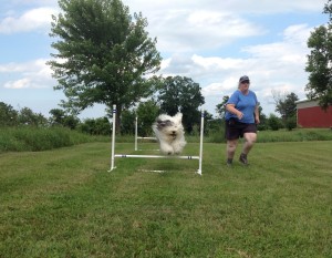 Here's me and Mommy trying out the jumps . . .